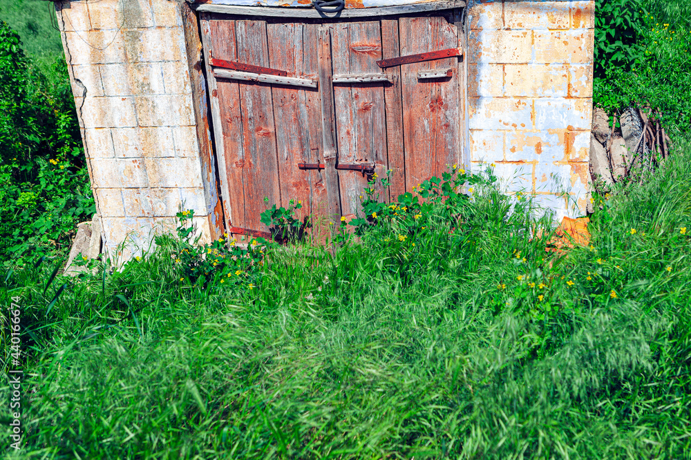 Wooden door of old cellar . Wine store from ancient . Abandoned antique construction Wooden door of old cellar . Wine store from ancient . Abandoned antique construction
