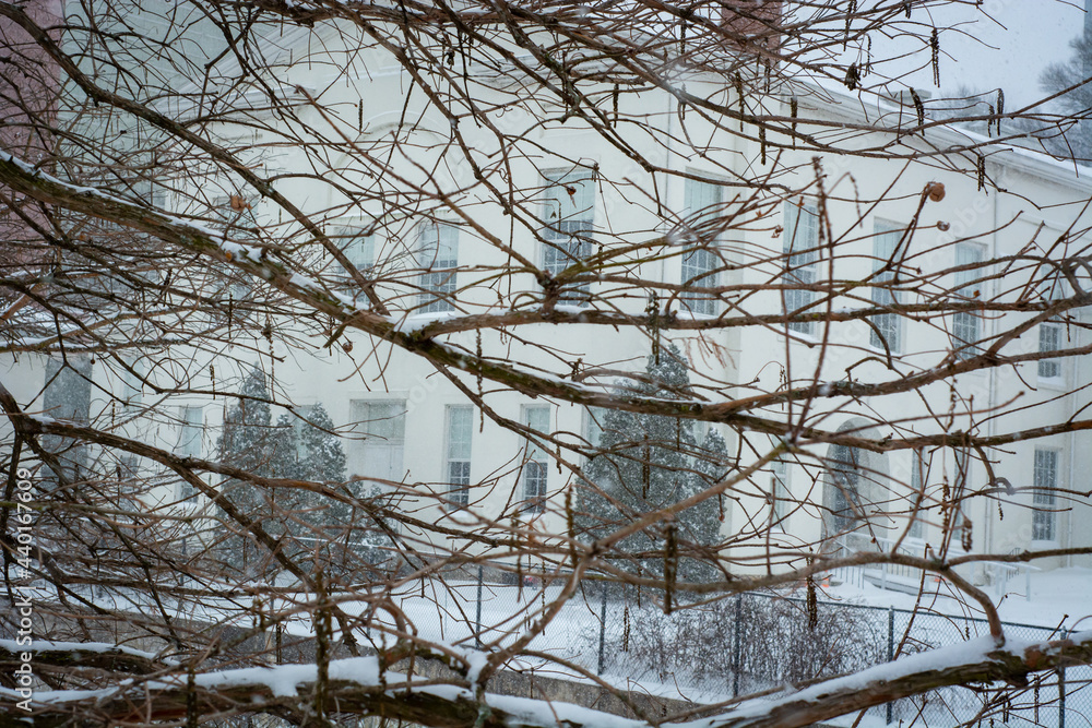 through the trees through the trees
