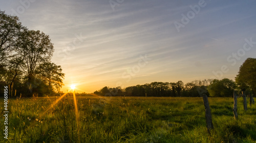 Green meadow surrounded by trees at sunset in summer, Munsterland, Germany