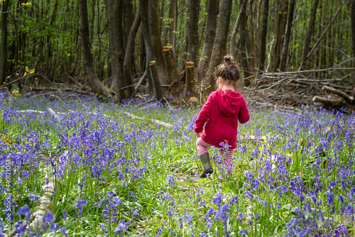 Foto Young toddler walks through a lush bluebell woodland during springtime