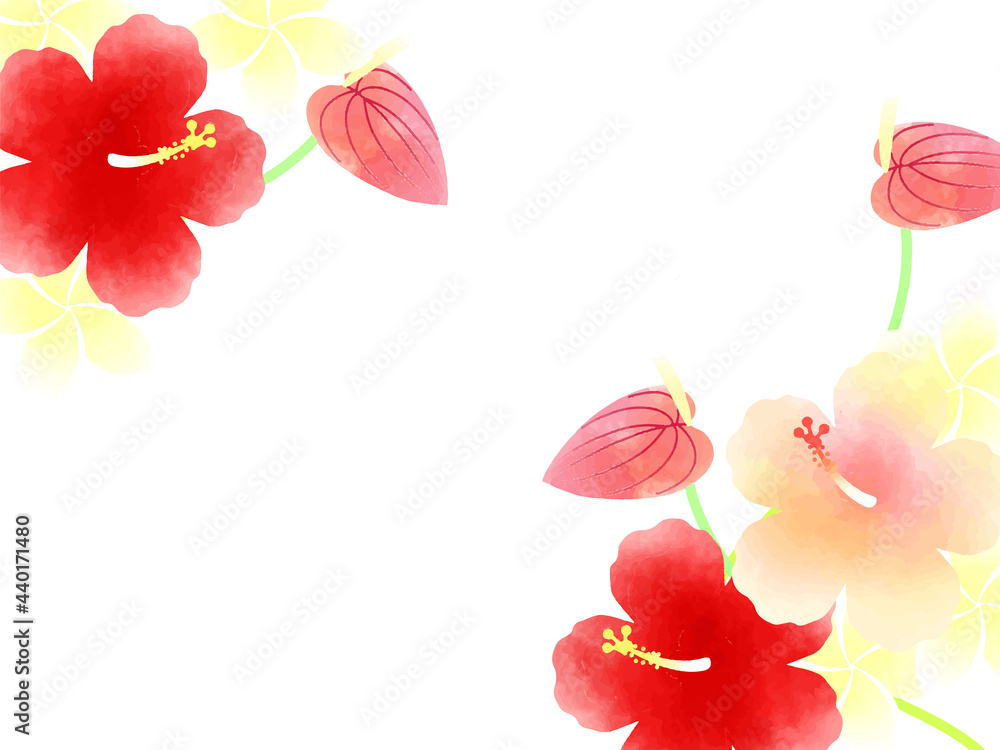 ハイビスカスとアンスリュームのイラスト背景 Stock Vector Adobe Stock