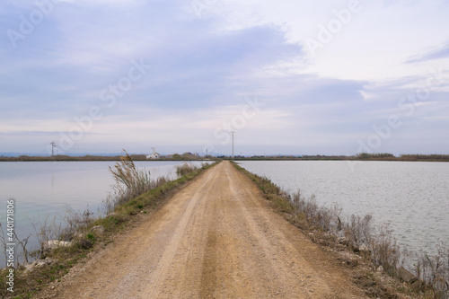 Dirt road between the rice fields of La albufera in Valencia, Spain