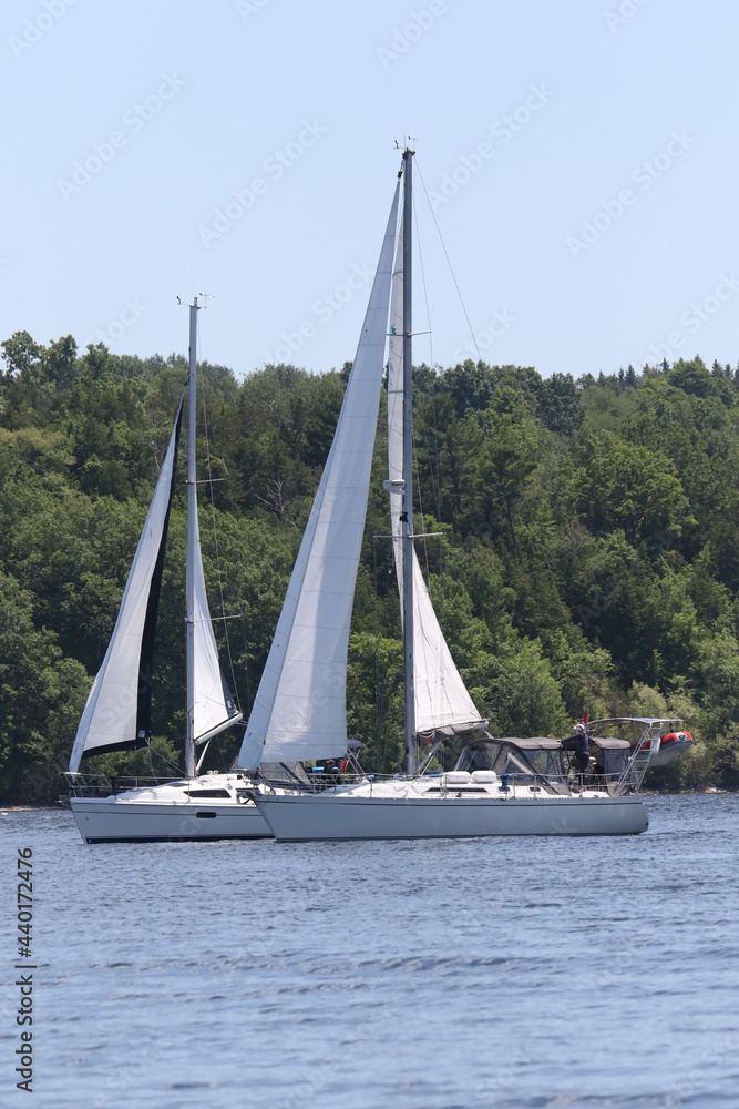 Obraz premium Sailboats on very windy day in Bay of Quinte