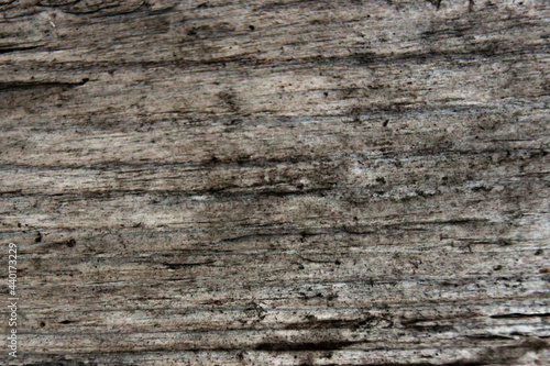 Wooden board, textural background. Old wooden texture