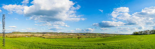 Green landscape panorama in spring season