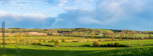 Green landscape panorama in spring season