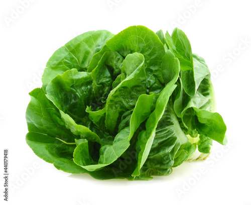 Green butter lettuce vegetable or salad isolated on white background