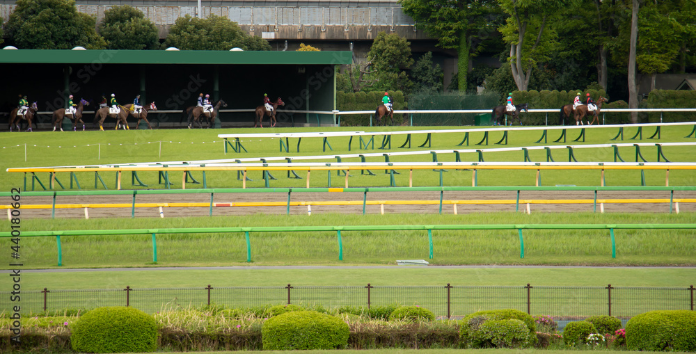 Obraz premium 競馬 待避所からレースへ行くサラブレッド