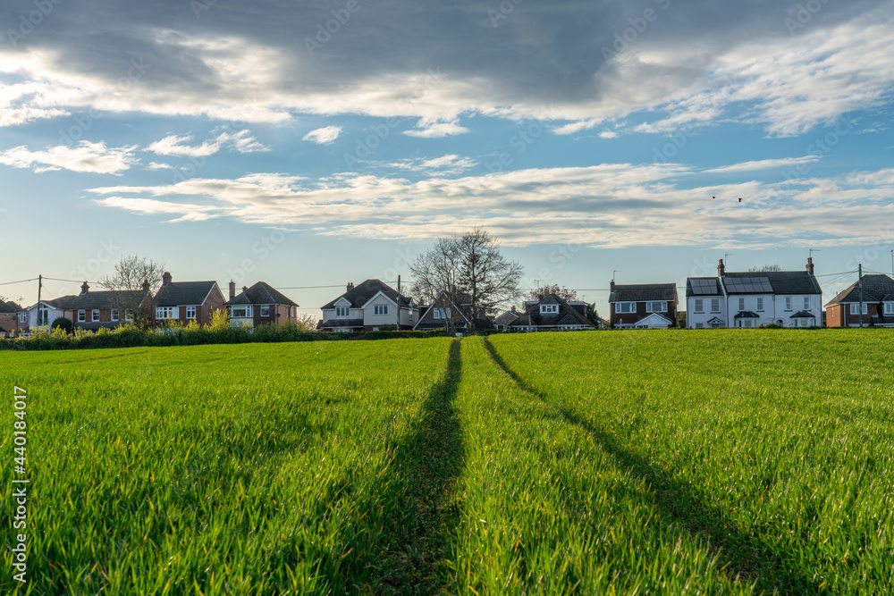 Green field with traditional British houses in the background 