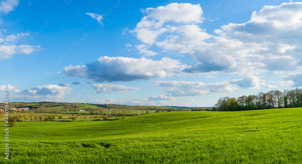 Green landscape panorama in spring season