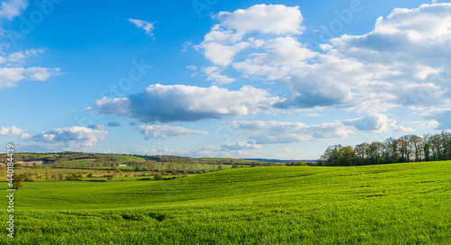 Green landscape panorama in spring season © Pawel Pajor