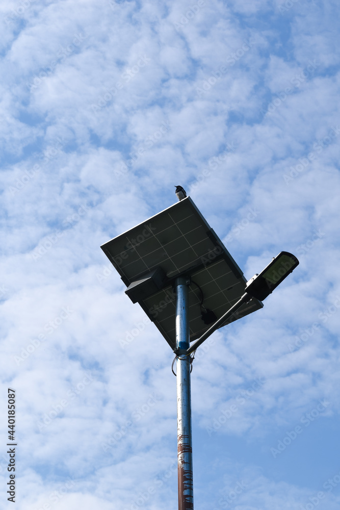 Oriental magpie-robin bird sitting on street light in morning and blue sky with white clouds in background Oriental magpie-robin bird sitting on street light in morning and blue sky with white clouds in background