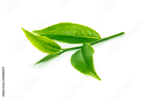 Green tea leaves isolated on white background