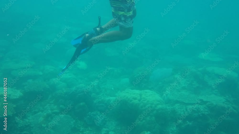 Exploring under water world of Karimun Jawa Island Exploring under water world of Karimun Jawa Island