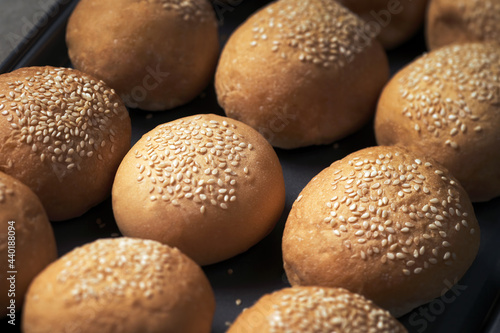 many baked sesame topping burger breads lay on oven tray waiting for cooking, shot with shallow focusing and tilted lens effect for background wallpaper.