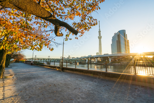Photography Summida park at sunrise in Asakusa, Tokyo. Japan