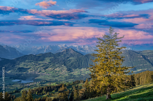 beautiful sunrise in the alps  photo