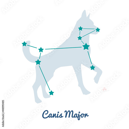 Constellation Canis Major and Sirius star, the Great dog photo