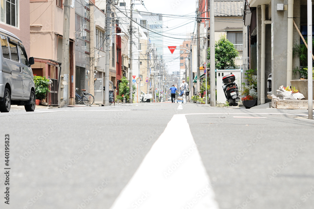 Obraz premium 猫目線