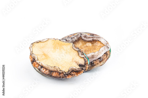 Raw abalones on the white background photo