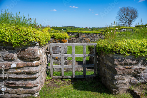 Old Wooden Gate Entrance in Stonewall or ruin structure photo