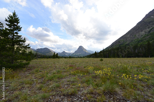 Scenic meadow with view of mountains in Glacier National Park in Montana