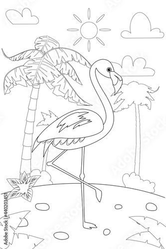 Jungle, Africa safari animal Flamingo coloring book edicational illustration for children. Vector white black cartoon outline illustration photo