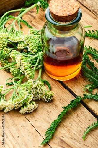 Yarrow tincture in the glass bottle