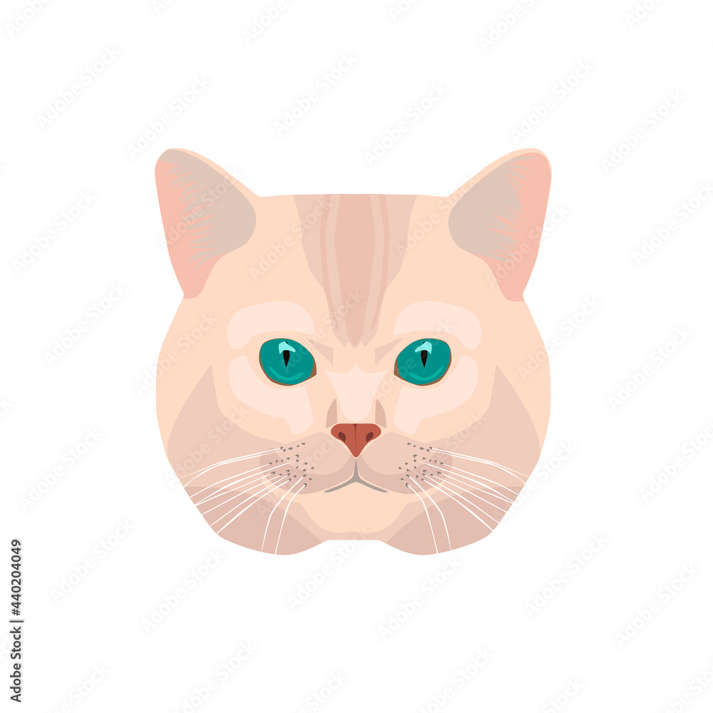 Vector illustration of cat face, isolated on white Vector illustration of cat face, isolated on white