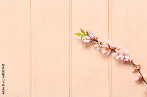 Beautiful blooming branch on color wooden background