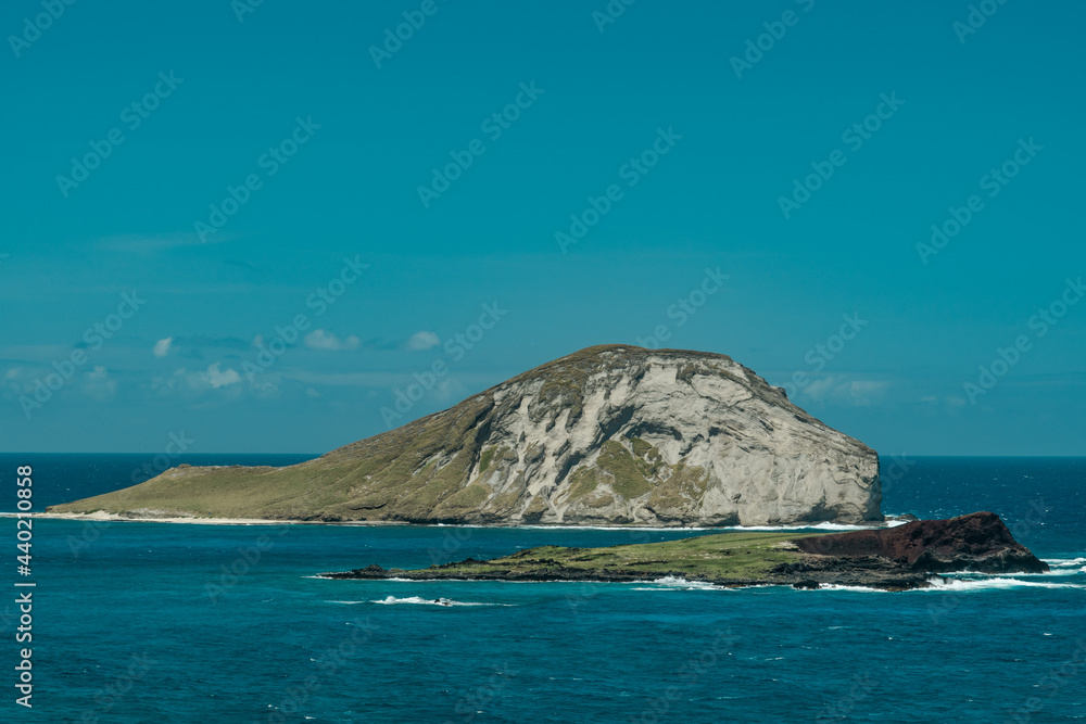 Manana Island is a offshore tuff cone known as Rabbit Island. Makapuu Beach Park, Oahu, Hawaii. Scaevola taccada, also known as beach cabbage, sea lettuce, beach naupaka, naupaka kahakai.	