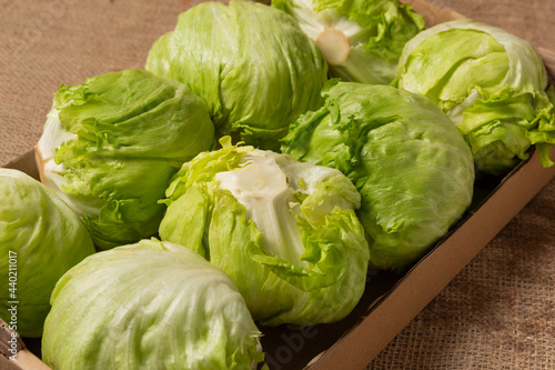 eight heads of iceberg lettuce lie in a cardboard box, concept, close-up