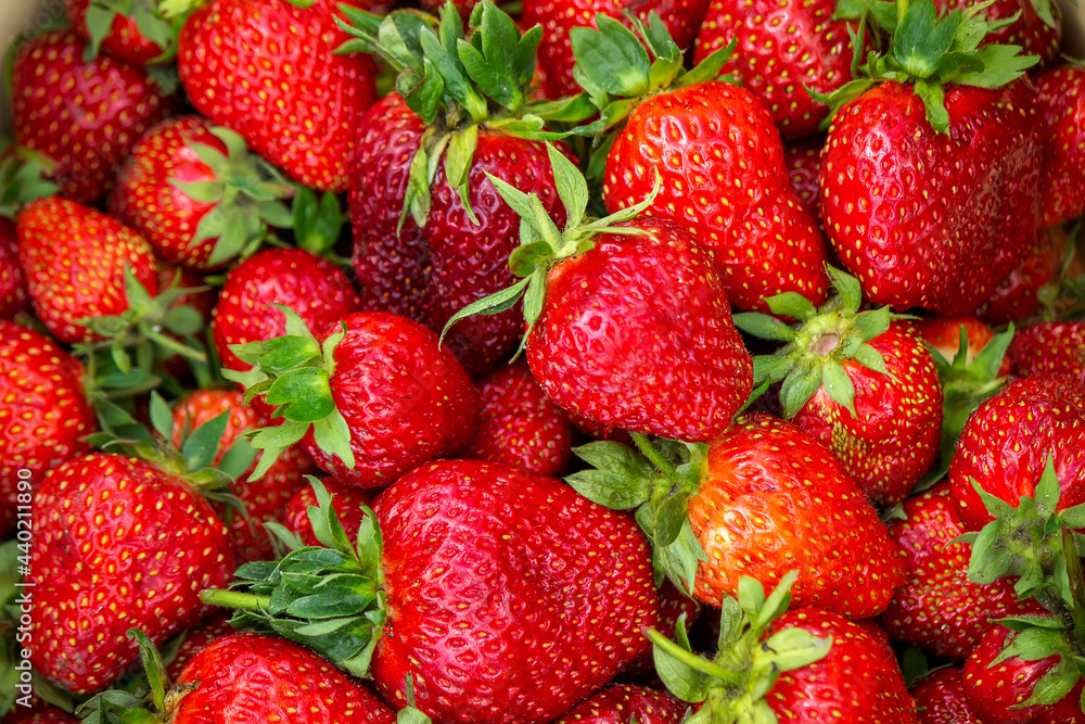 A plate with ripe juicy strawberries. plate with freshly picked strawberries, Harvesting berries, Healthy food, Organic food. A plate with ripe juicy strawberries. plate with freshly picked strawberries, Harvesting berries, Healthy food, Organic food.
