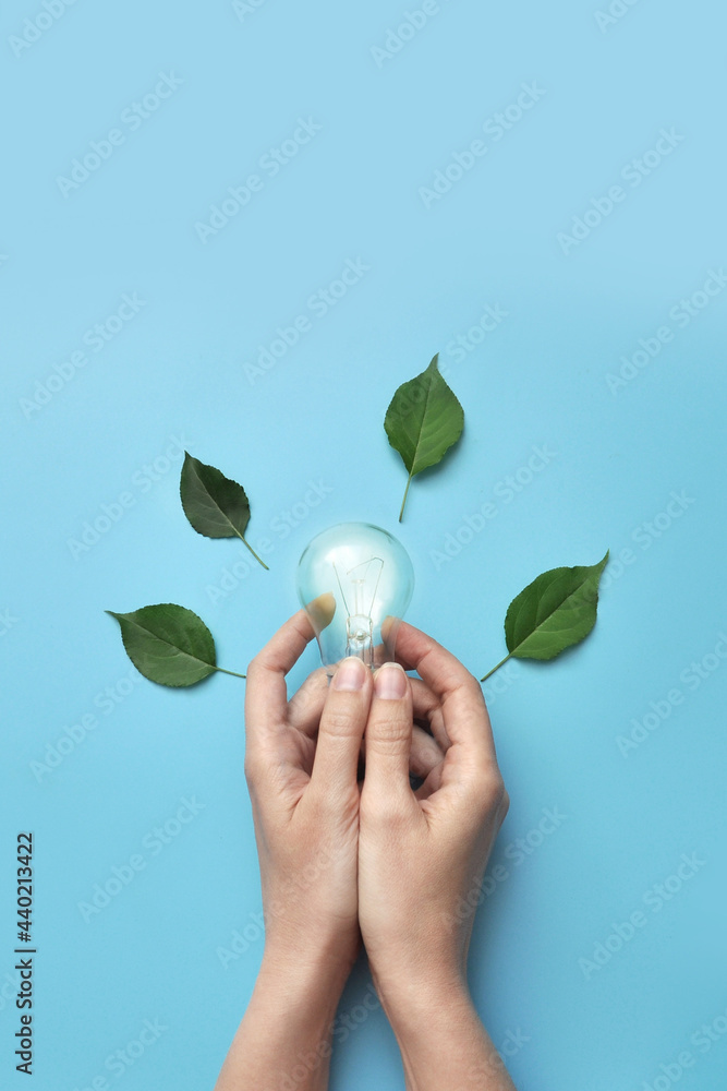 A light bulb surrounded by green leaves. Environmentally friendly energy sources