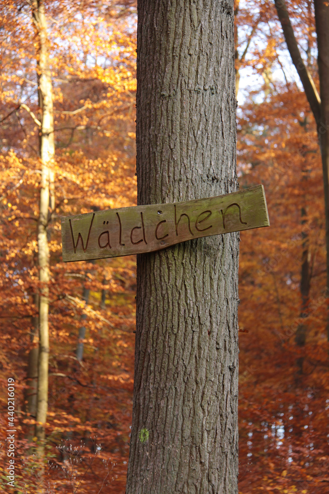 Ein Schild im Wald auf dem Wäldchen geschrieben steht