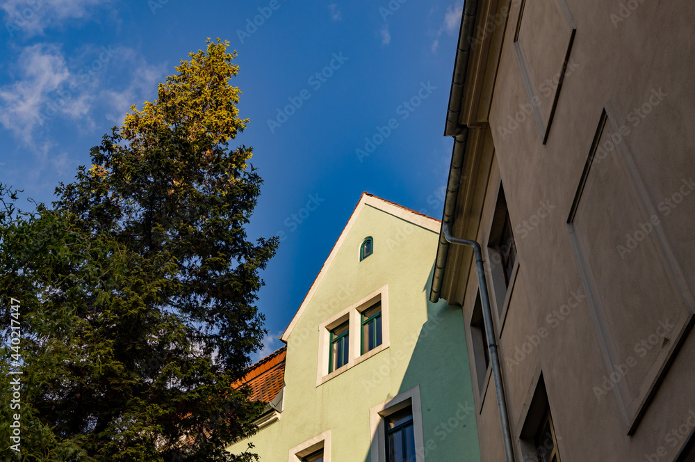 Facade of a residential building illuminated by the sun. two different houses stand next to a green tree. 
