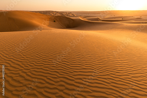 Sandunes at sunset in the desert of Oman photo