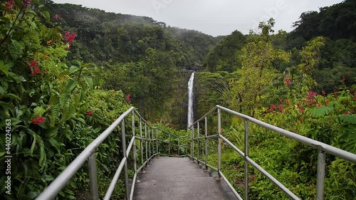 The path to Akaka Falls in Akaka Falls State Park, Big Island of Hawaii. Mid angle, parallax movement, slow motion, HD. photo