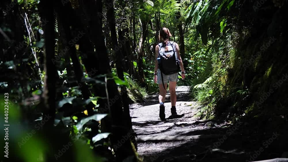 Woman walking thorugh the rainforest in Kilauea Iki Crater, Big Island of Hawaii. Mid angle, parallax movement, slow motion, HD. Woman walking thorugh the rainforest in Kilauea Iki Crater, Big Island of Hawaii. Mid angle, parallax movement, slow motion, HD.