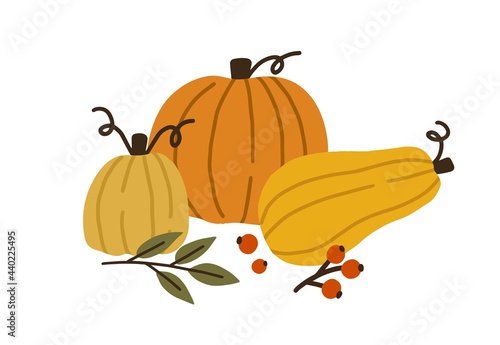 Autumn pumpkin, butternut squash and gourd of different shapes and sizes. Seasonal fall harvest. Halloween orange and yellow vegetables. Colored flat vector illustration isolated on white background