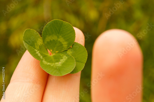 clover on hand