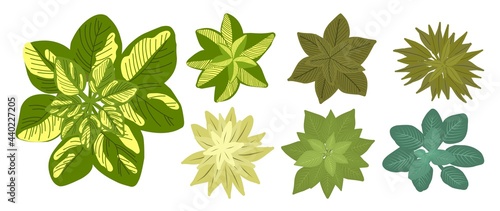 Botanical elements for a landscape plan. Landscaping constructor. Plants top view isolated on white background. Vector illustration