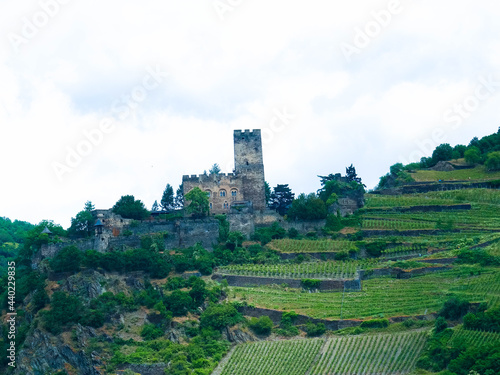 Panoramic view of Gutenfels Castle and the vineyards in the Rhine Valley near the village of Kaub, Germany. Rhineland-Palatinate, Upper Middle Rhine
