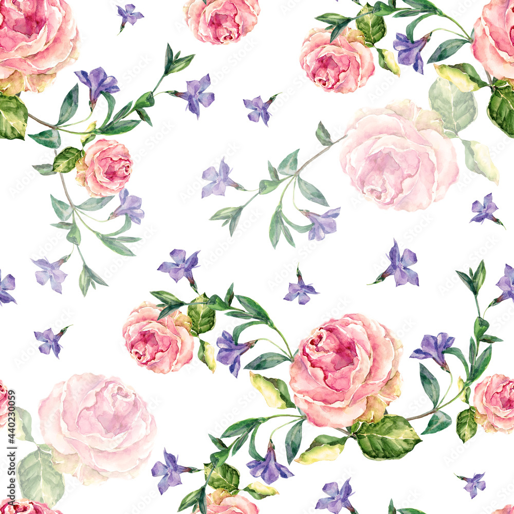 Garden flowers rose painted in watercolor. Floral seamless pattern on white background.