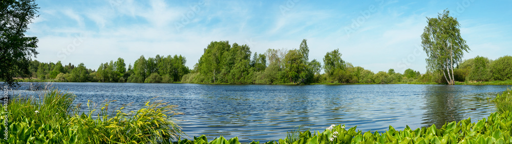 Summer sunny scene woth green trees and blue lake Summer sunny scene woth green trees and blue lake