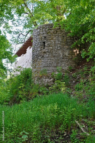 Treuchtlingen - Burg Außenmauer photo