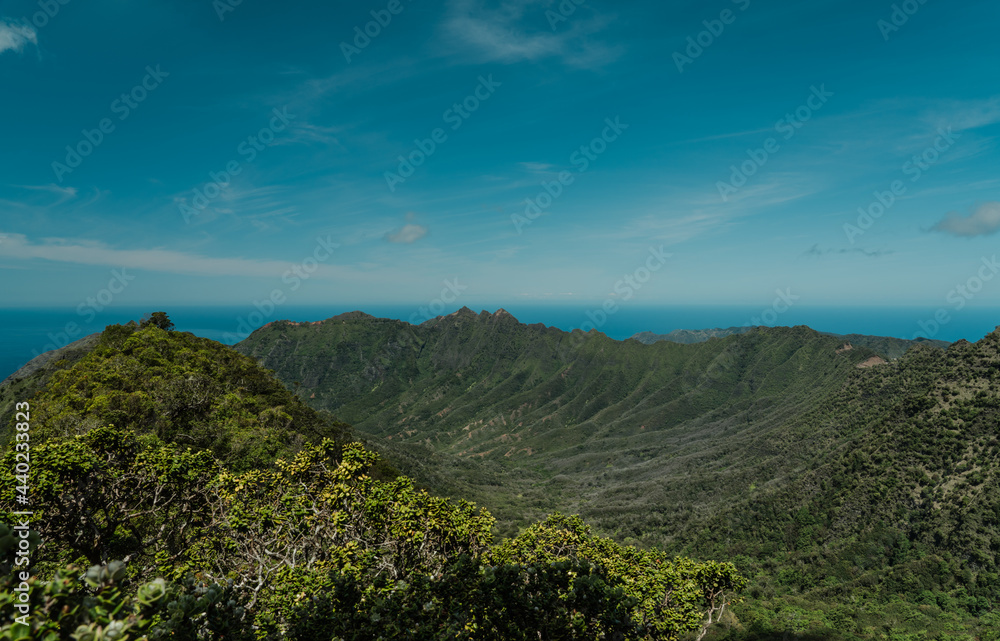 Waianae Range , Mount Kaala Trail , Oahu, Hawaii