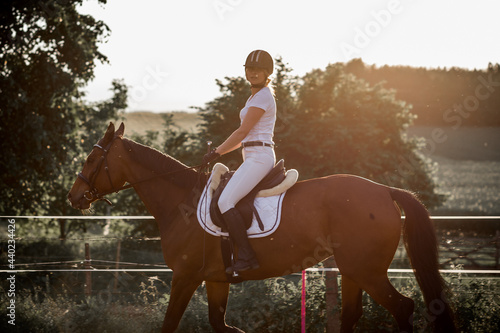 Horse riding training in fresh air on summer evening.Beautiful young woman in white sports uniform. Sports and beauty. Healthy lifestyle. Active leisure.