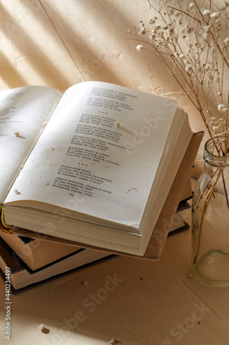 Photos home improvement and decoration concept - still life of books and decorative dri
