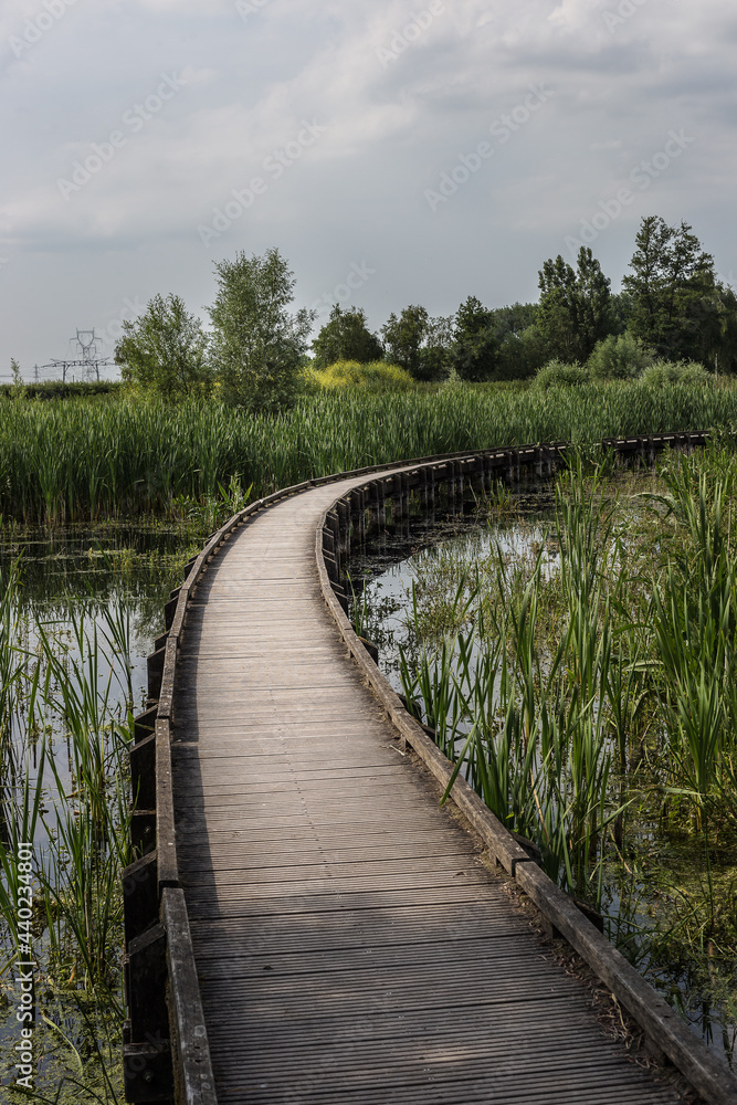 Naklejka premium Wooden pier on french wetland. Cloudy sky. Nature.